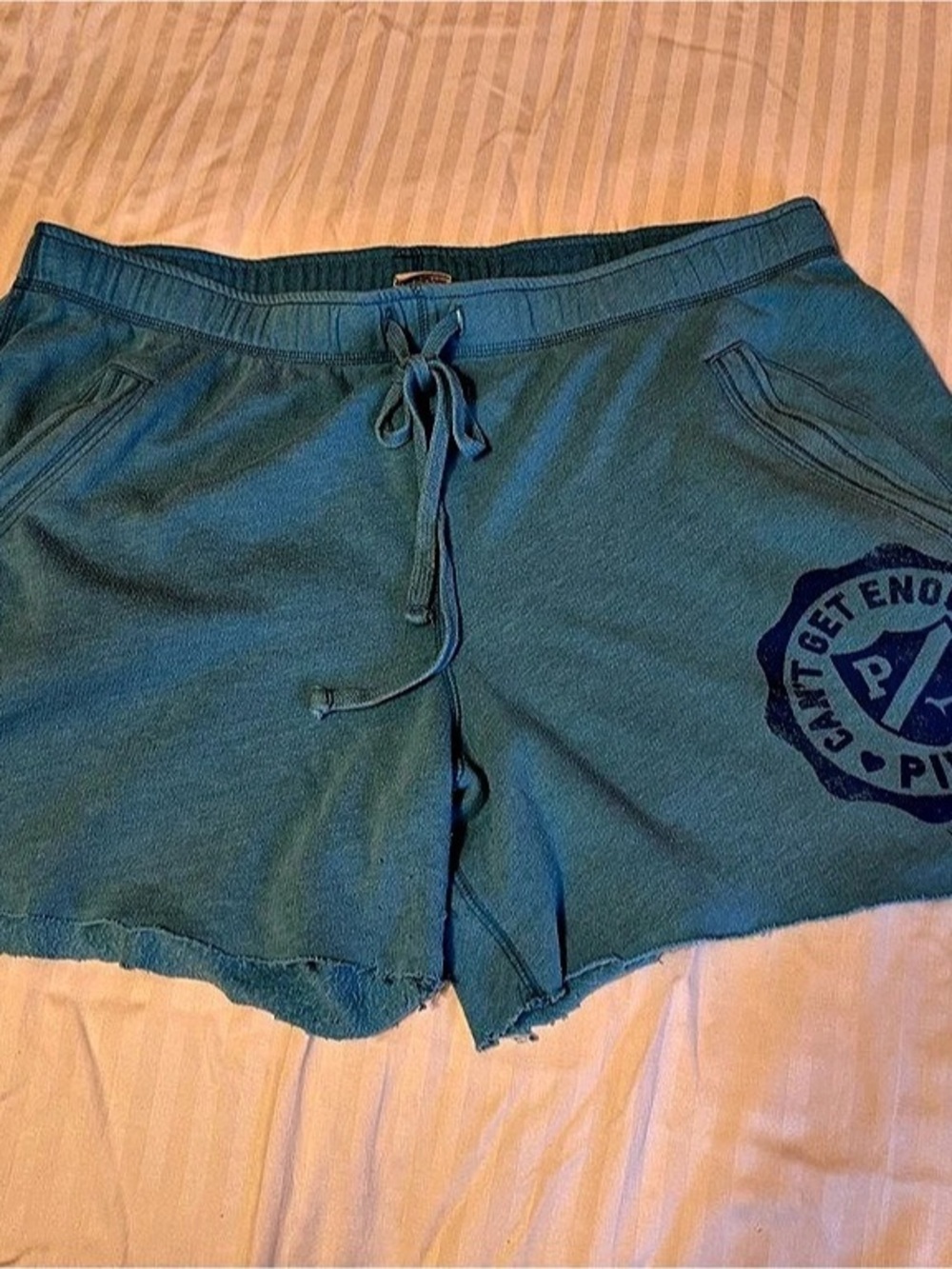 Vintage PINK Athletic Shorts in Blue